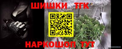 тгк Славгород