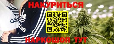 тгк Славгород