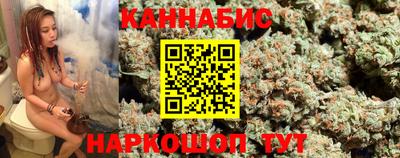 тгк Славгород