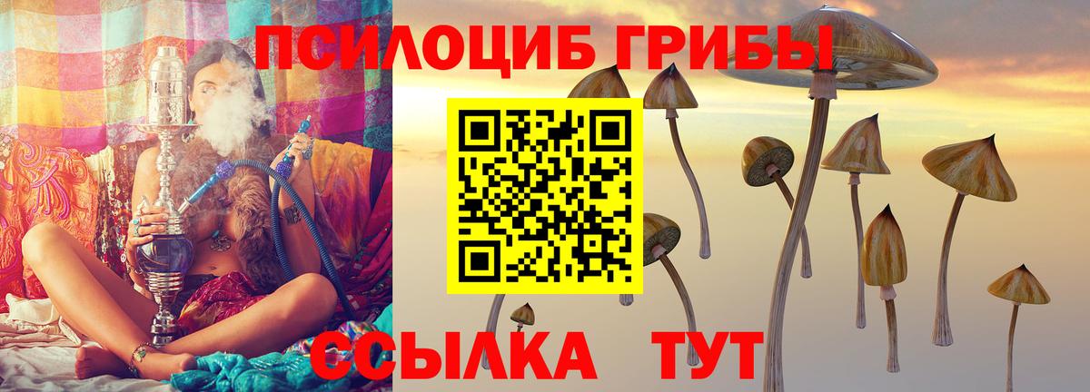 Галлюциногенные грибы мухоморы  Псилоцибиновые грибы мухоморы  Вход с VPN  Нефтеюганск 